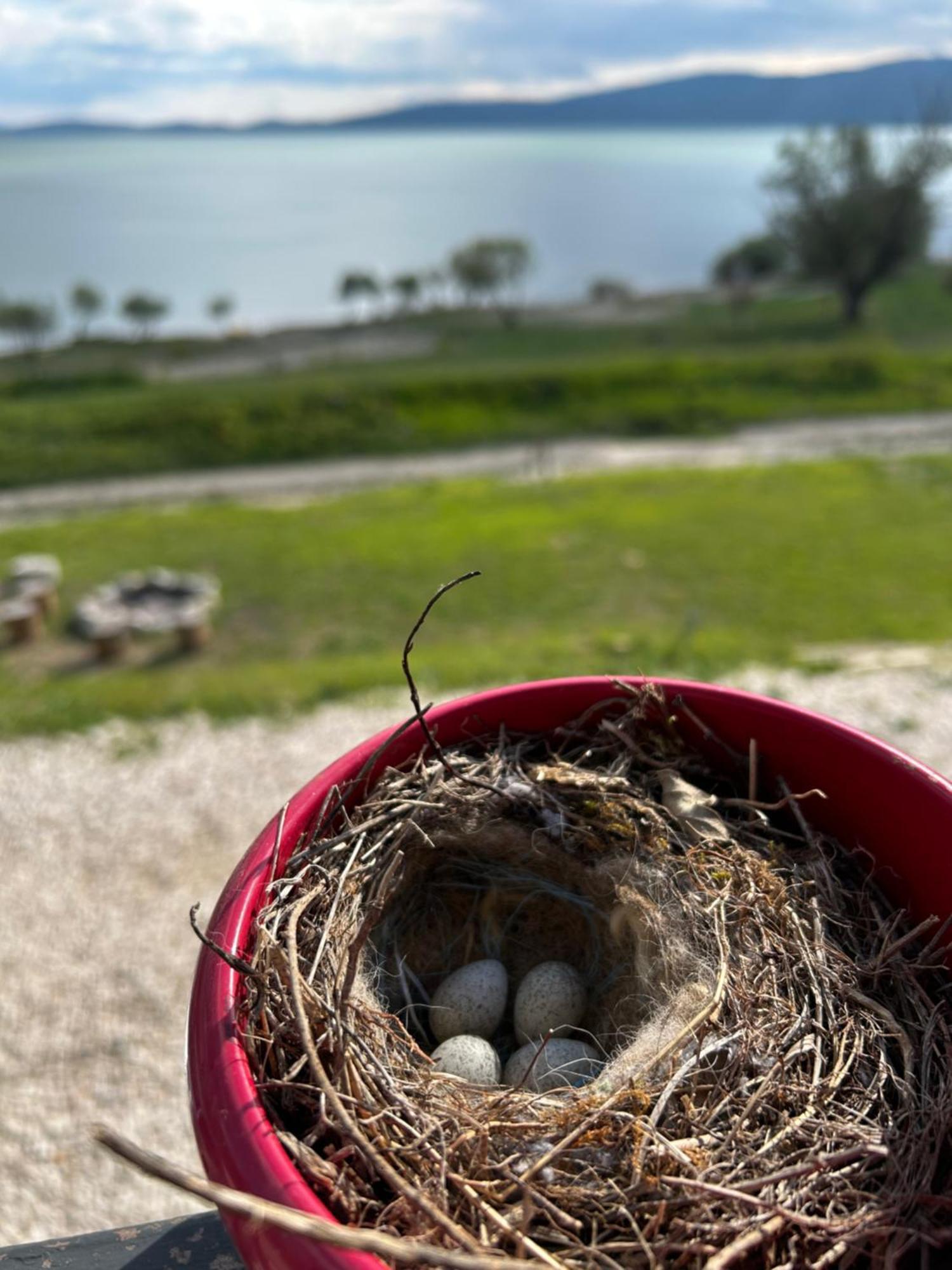 Lake House Beliz Livno Zewnętrze zdjęcie